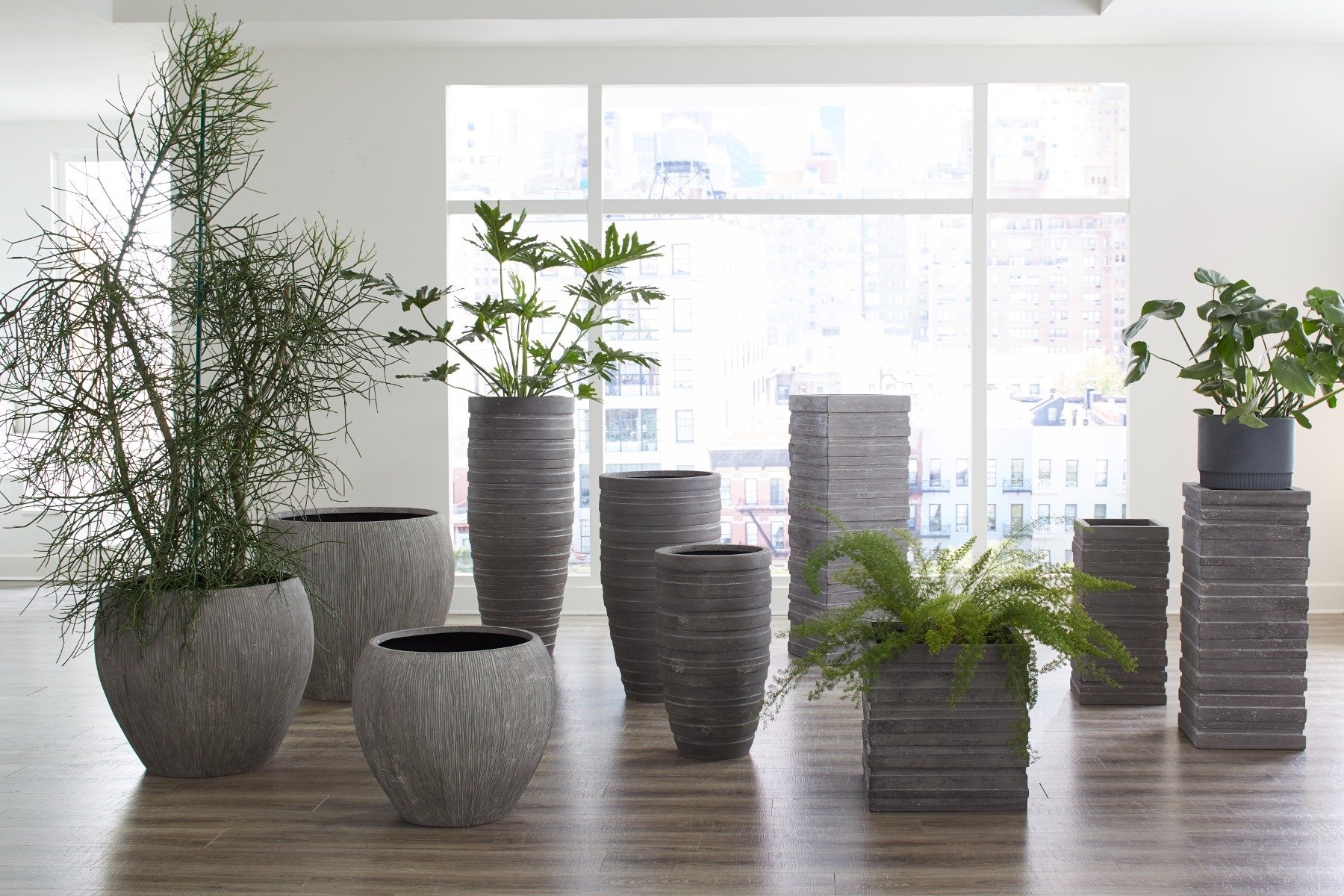 Showrooms & Tradeshows