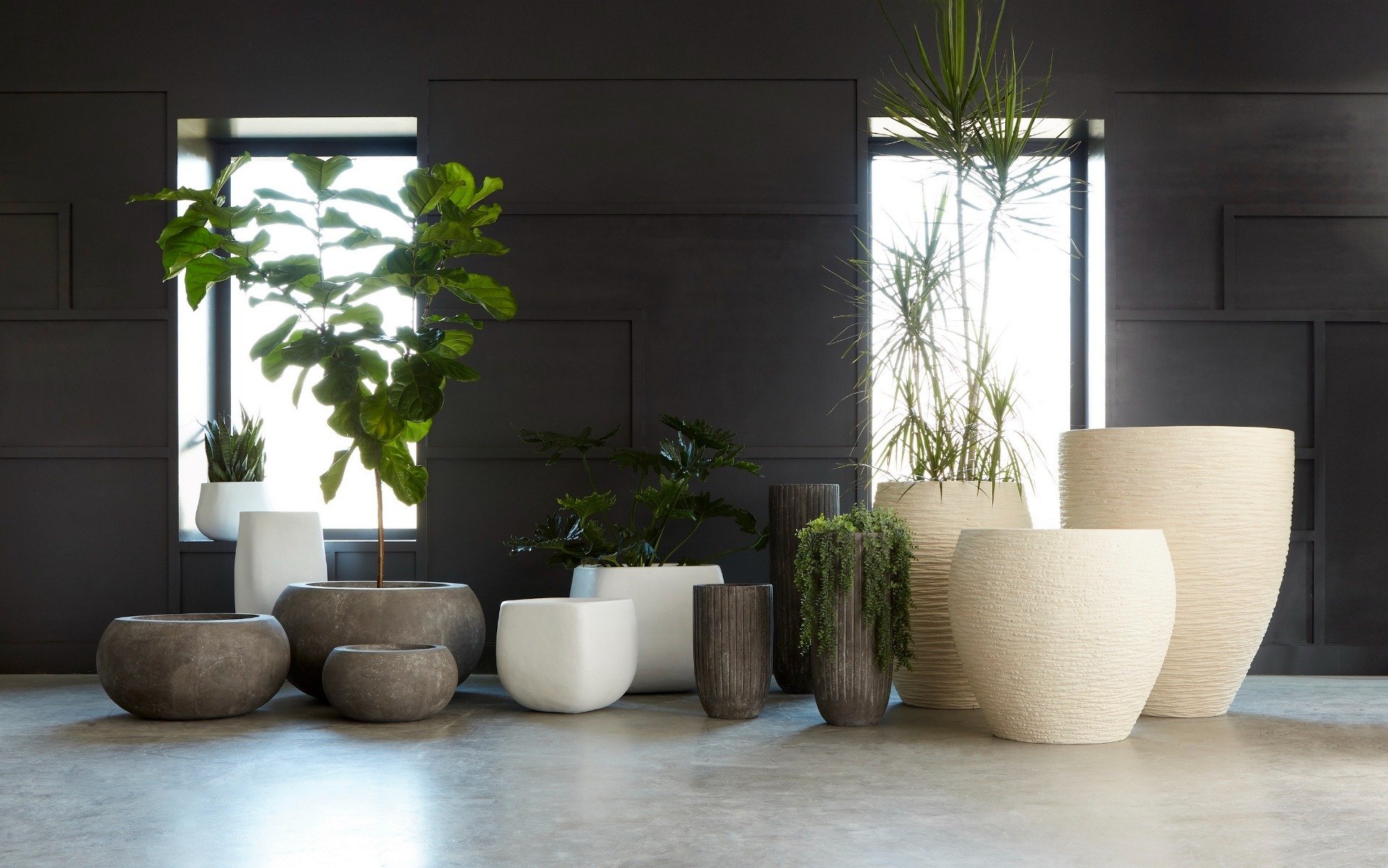 Showrooms & Tradeshows