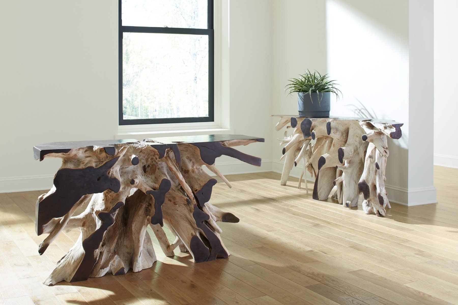 Showrooms & Tradeshows