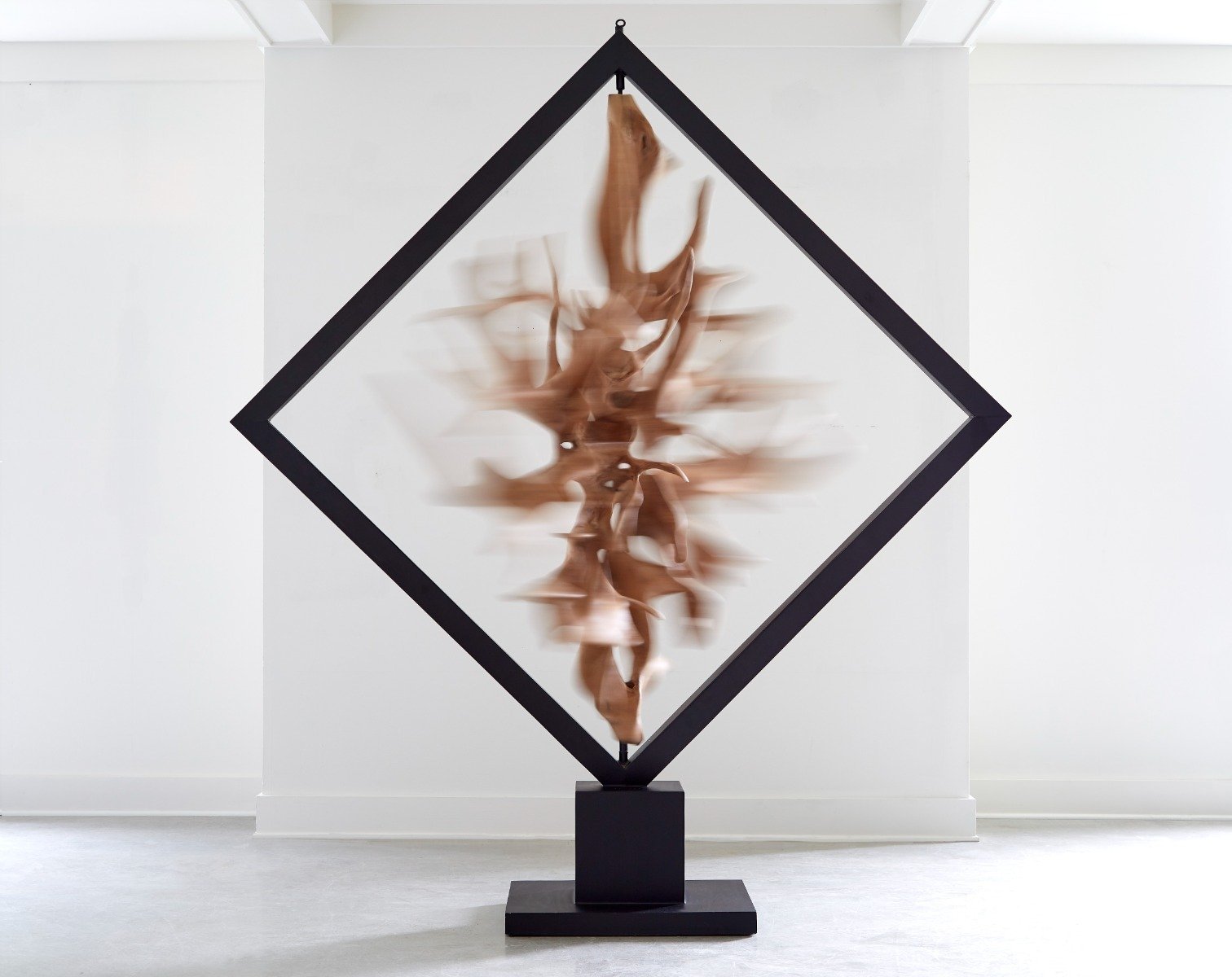 Showrooms & Tradeshows