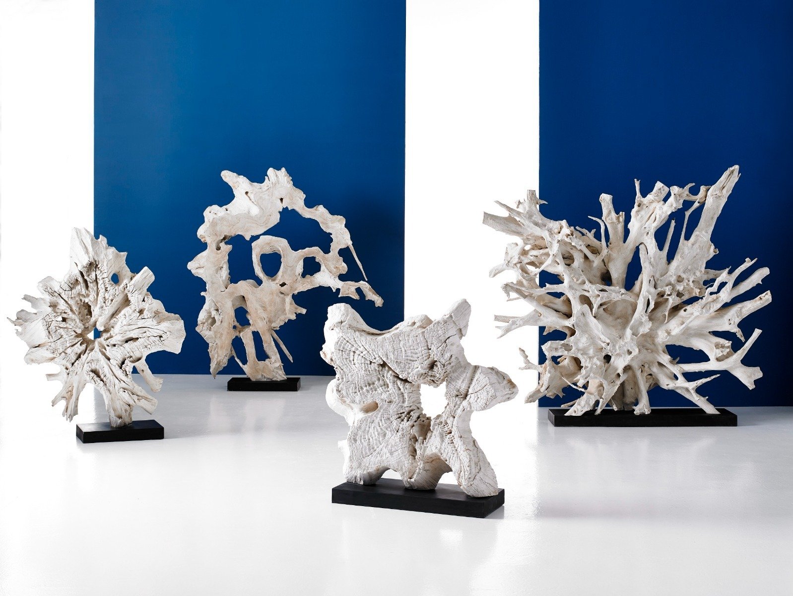 Showrooms & Tradeshows