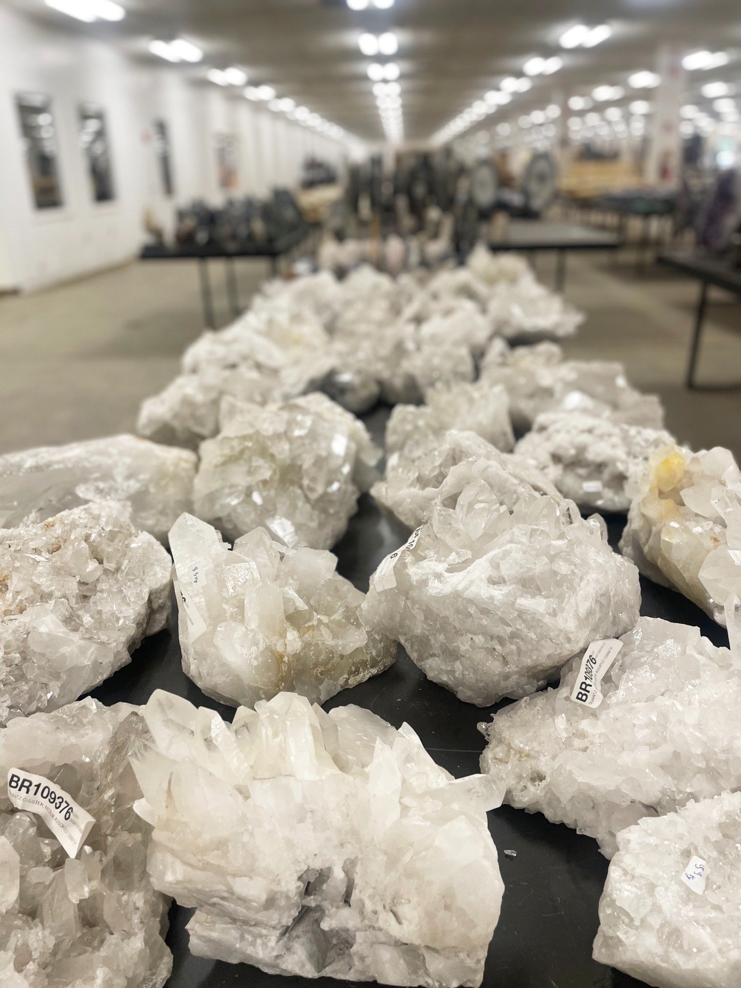 Showrooms & Tradeshows