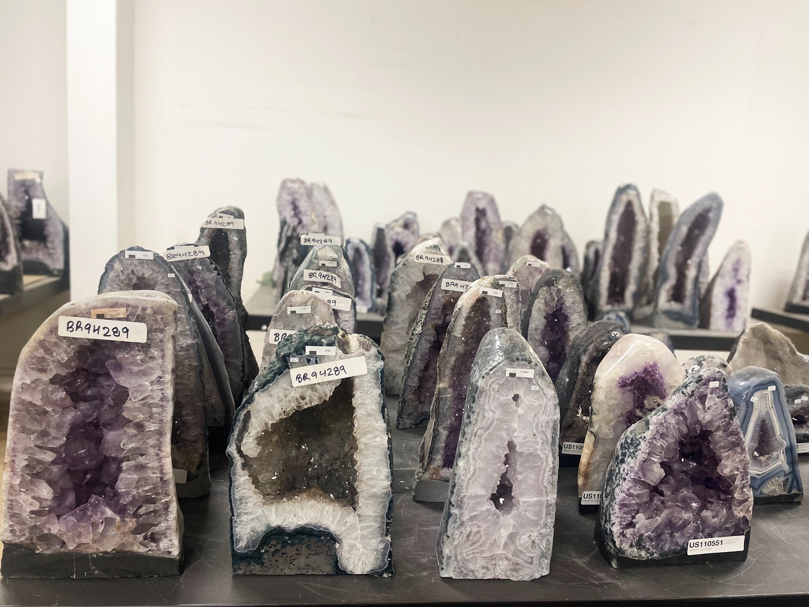 Showrooms & Tradeshows