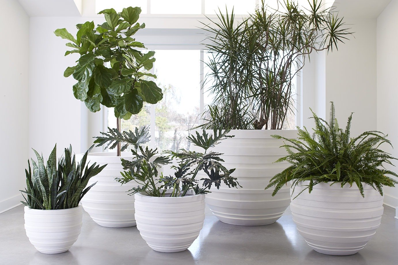 Showrooms & Tradeshows