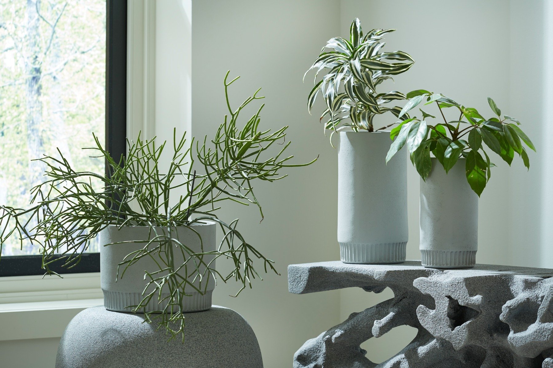Showrooms & Tradeshows