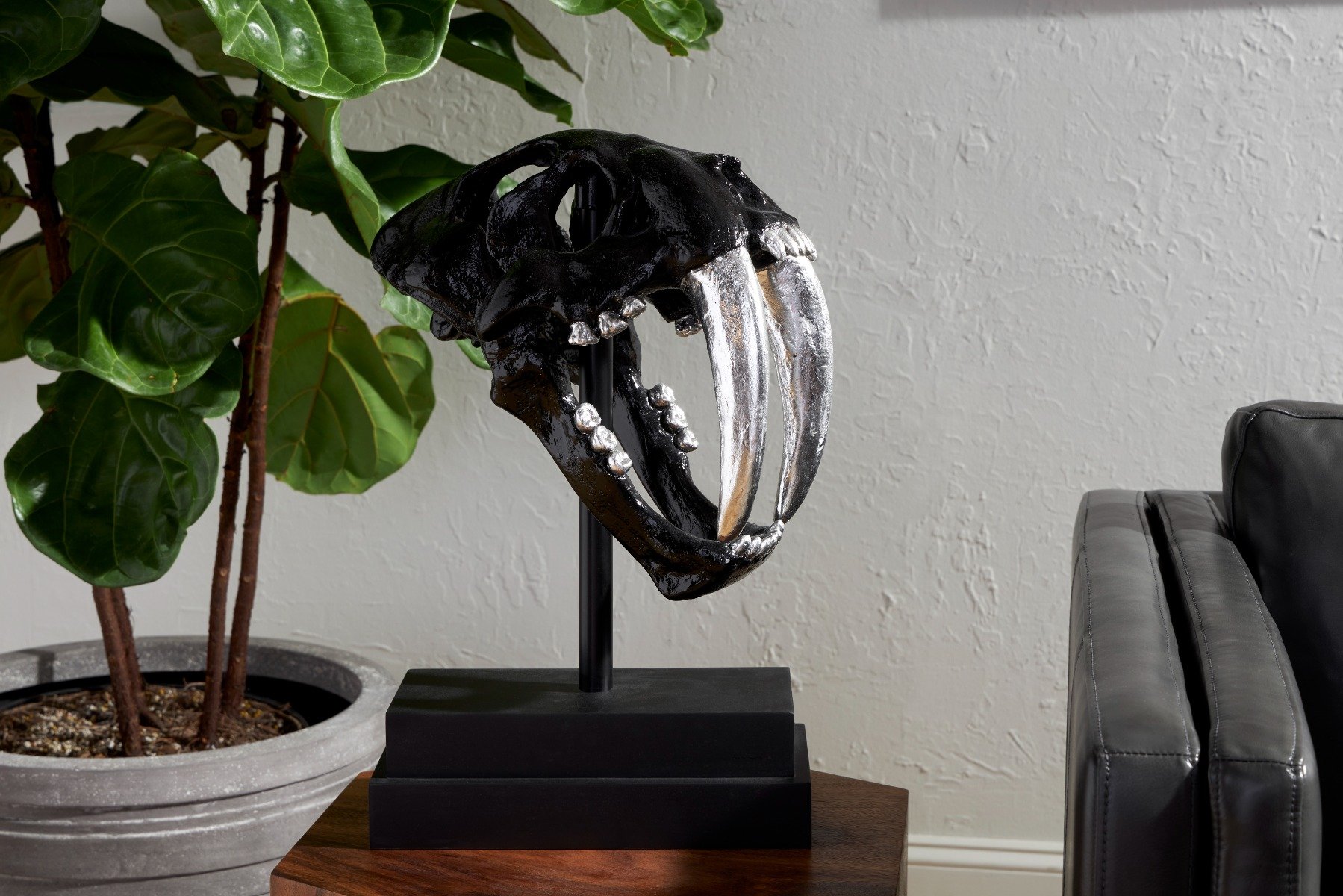 Showrooms & Tradeshows