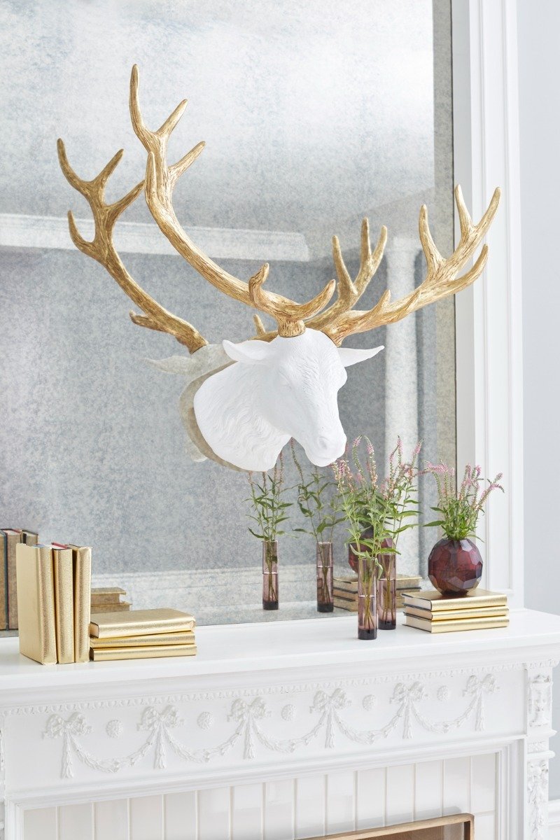 Showrooms & Tradeshows