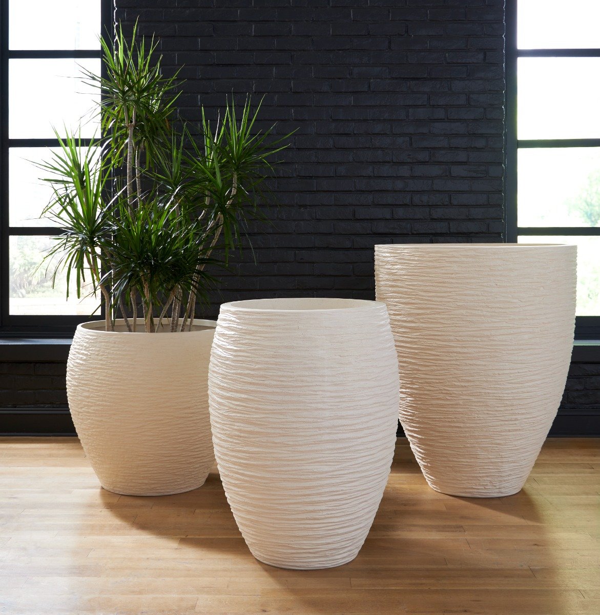 Showrooms & Tradeshows