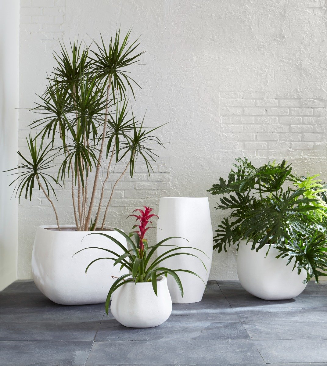 Showrooms & Tradeshows