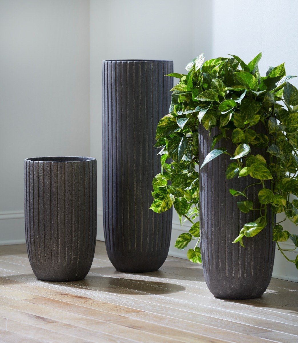 Showrooms & Tradeshows