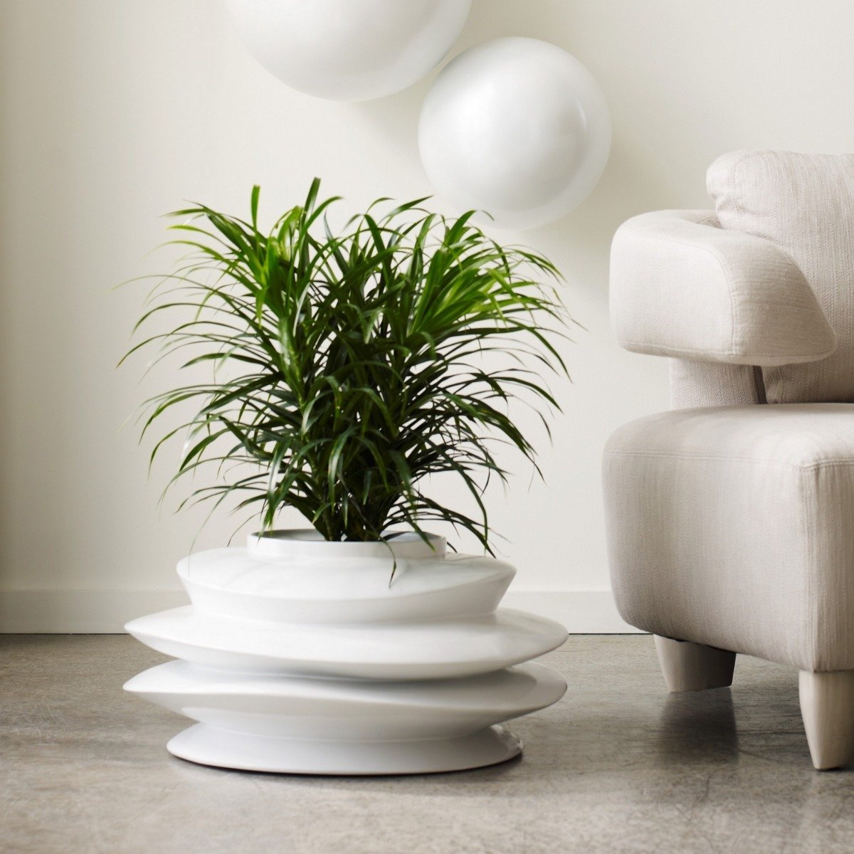 Showrooms & Tradeshows