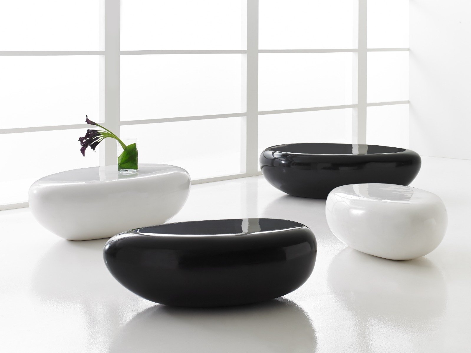 Showrooms & Tradeshows