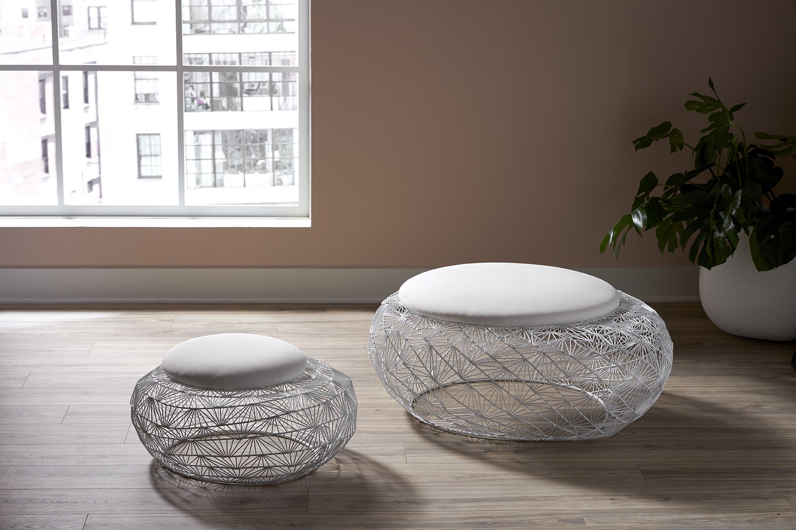 Showrooms & Tradeshows