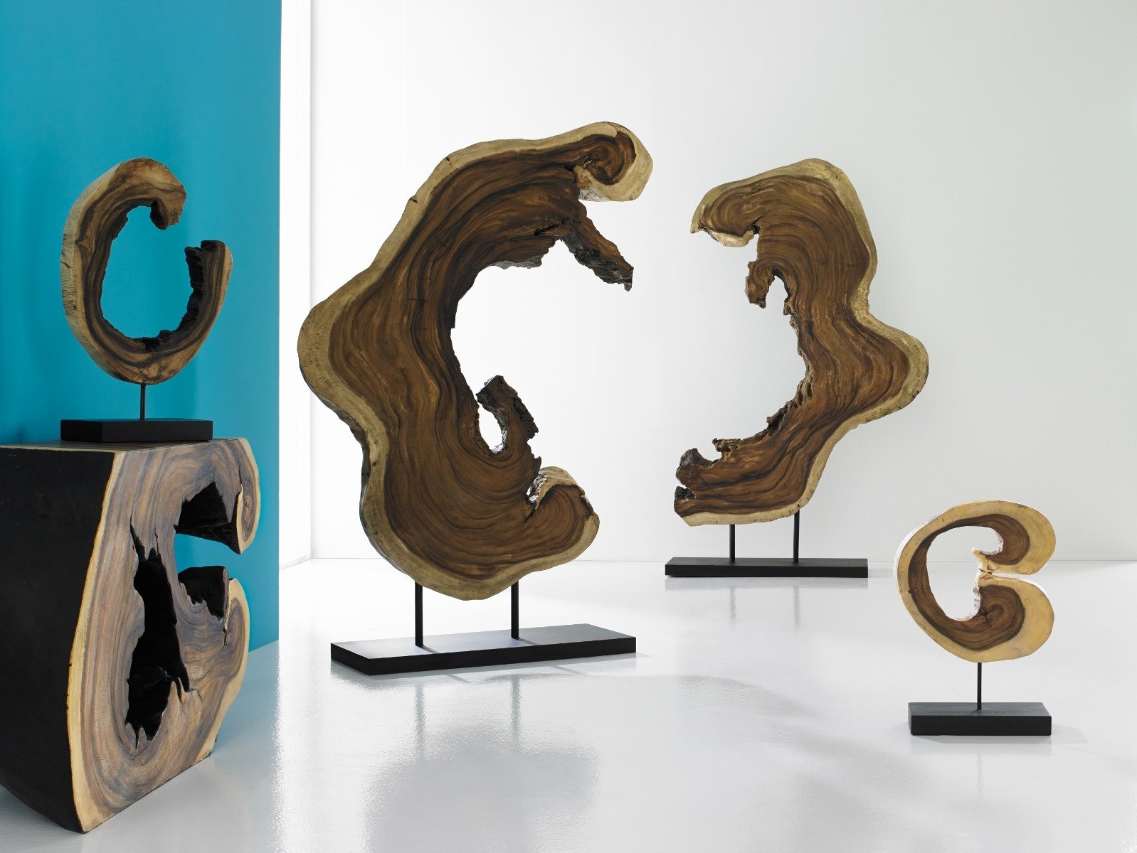 Showrooms & Tradeshows