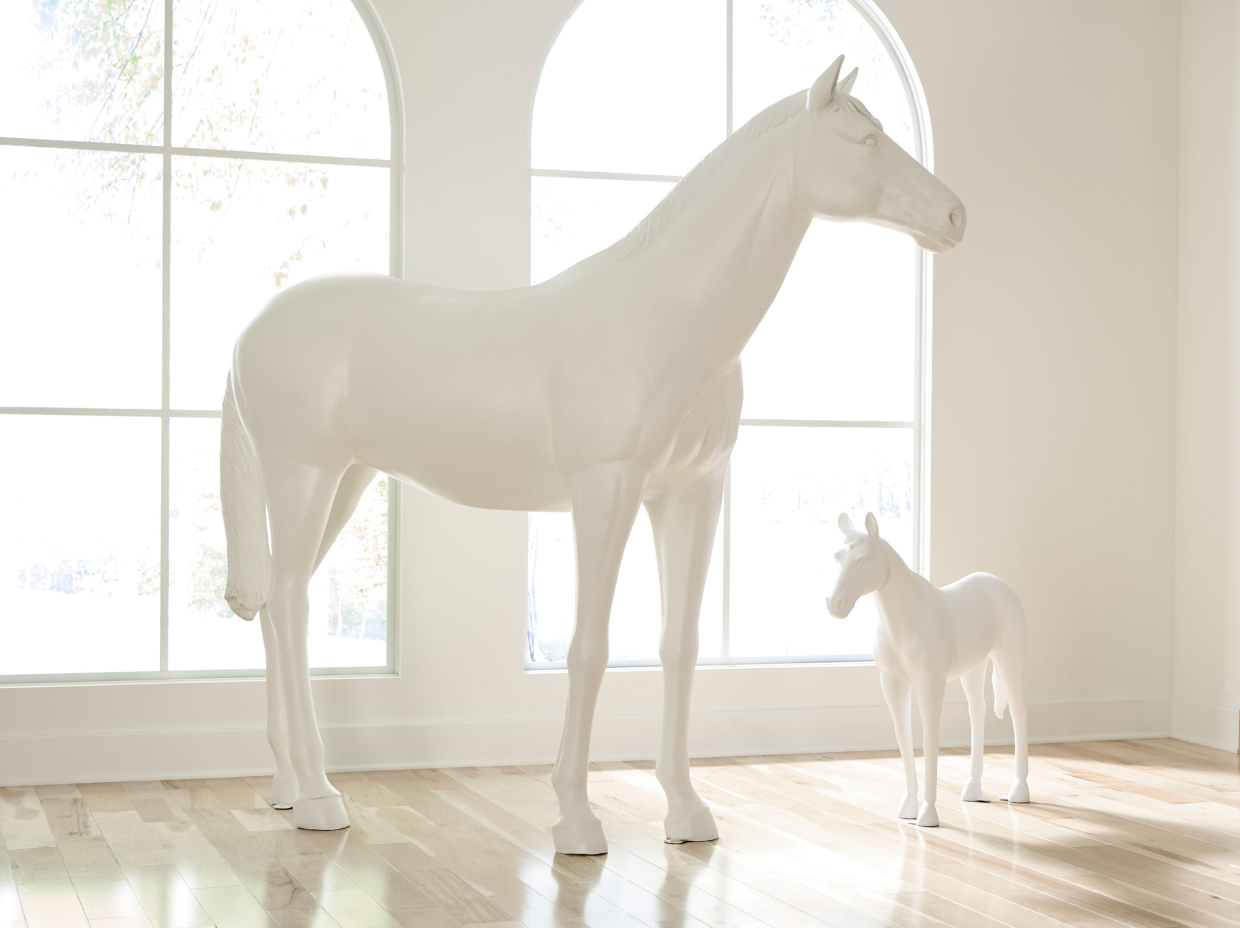 Showrooms & Tradeshows