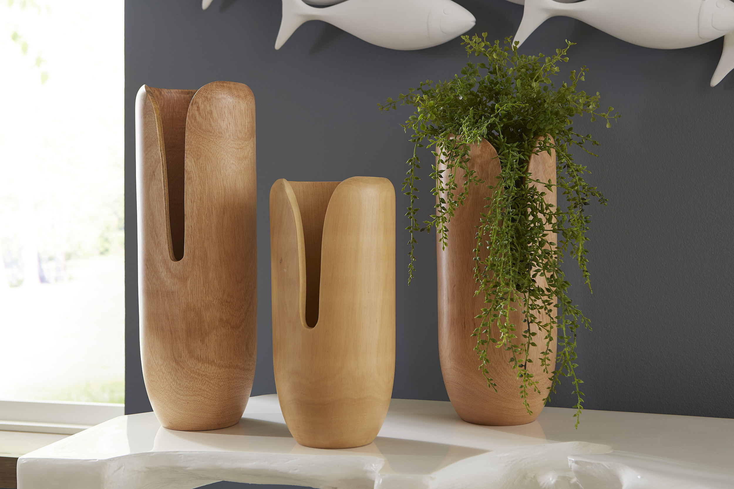 Showrooms & Tradeshows