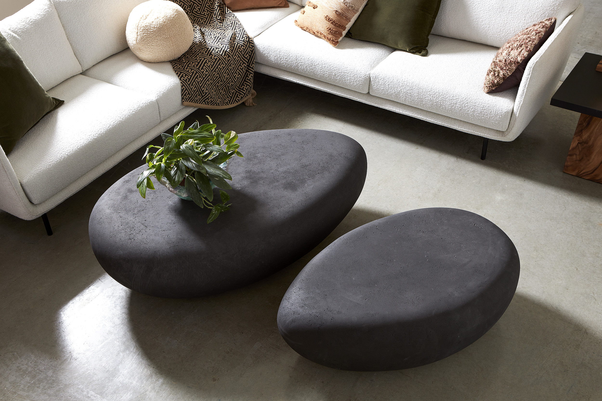 Showrooms & Tradeshows