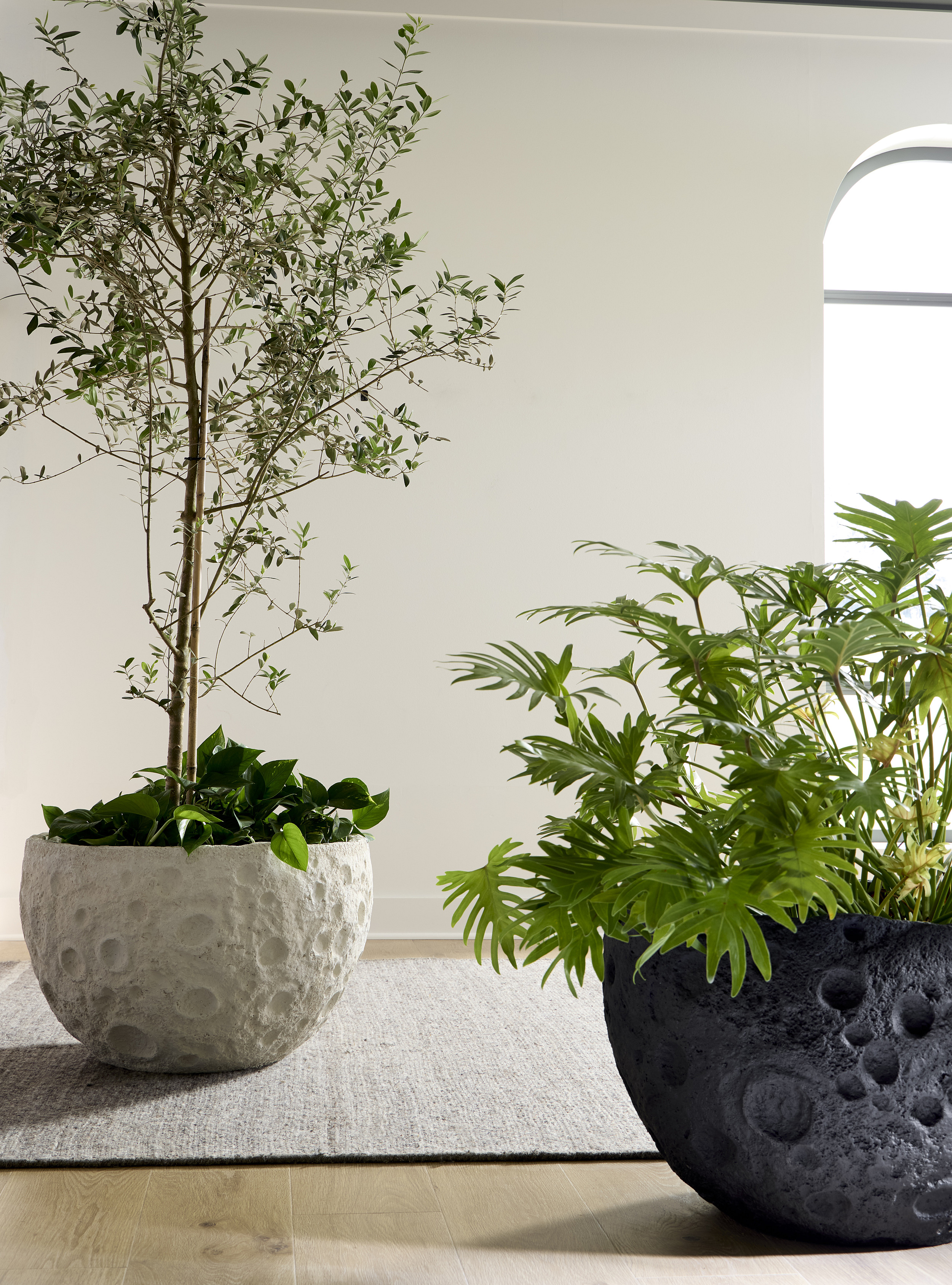 Showrooms & Tradeshows